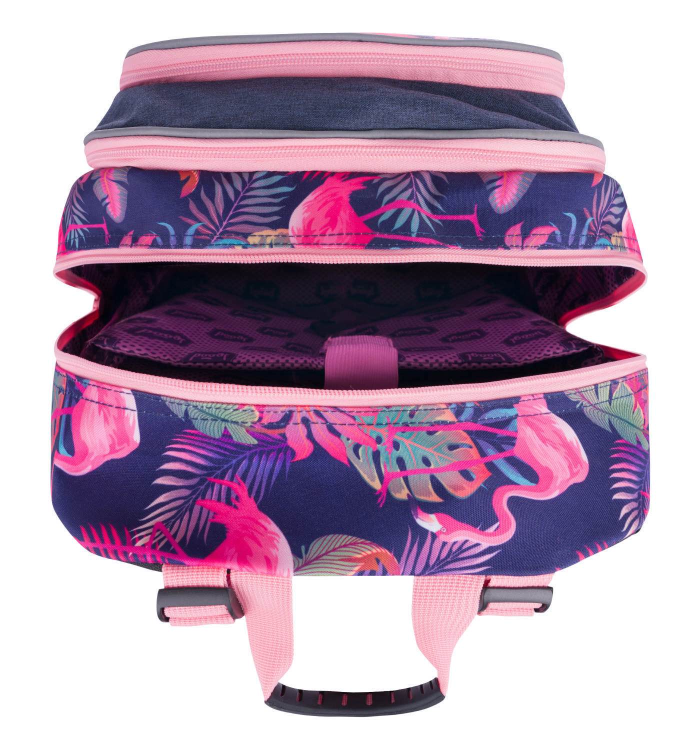 School set Core Flamingo