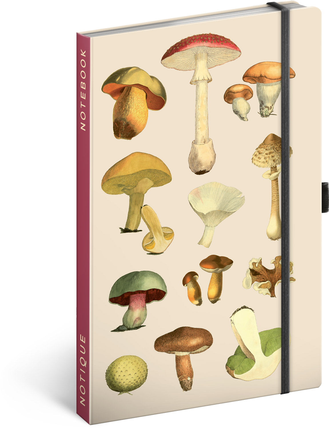 Notebook Herbs by Kateřina Winterová, lined, 13 × 21 cm