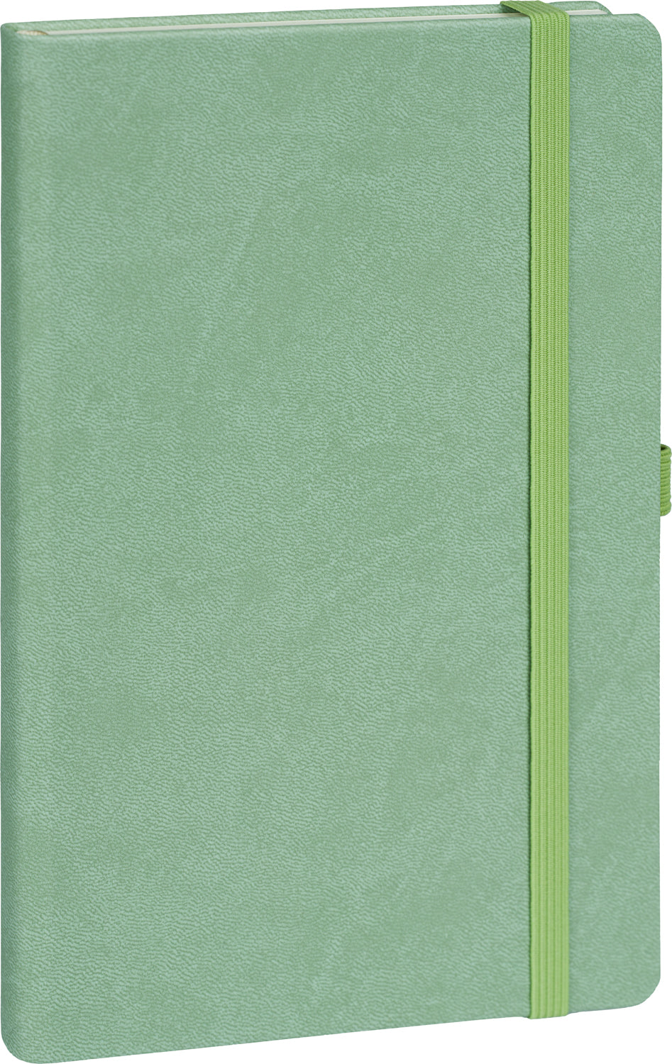Notebook Green, dotted, 13 × 21 cm