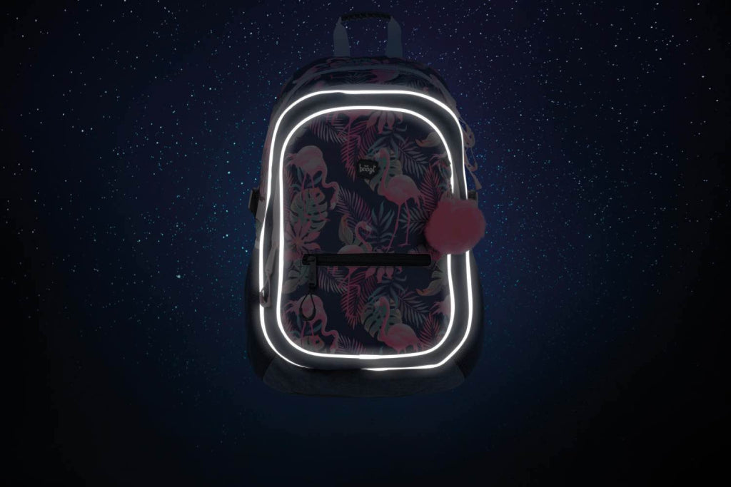 School set Core Flamingo