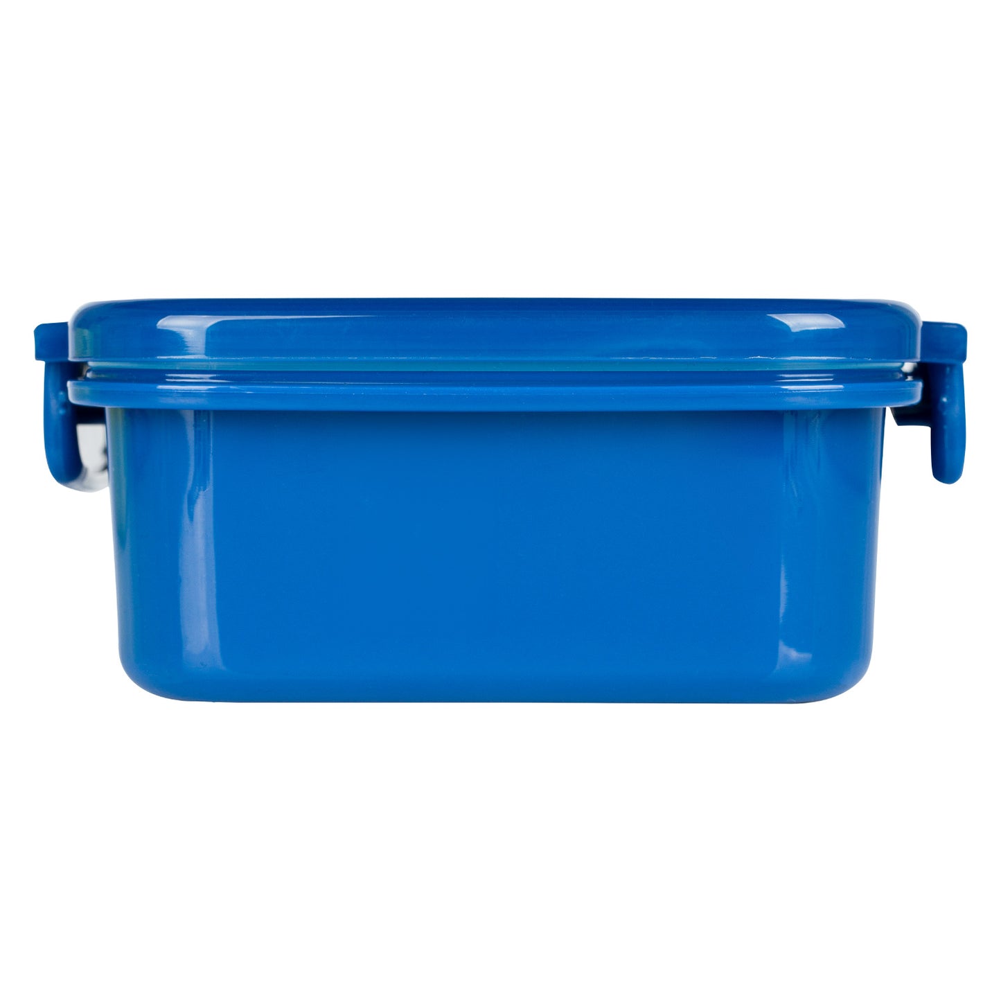 Lunch box with compartments Dino