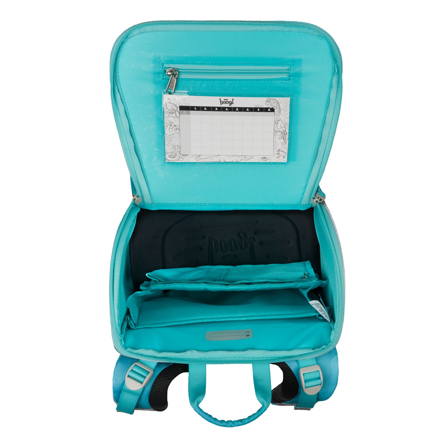 School set Zippy Dolphin II
