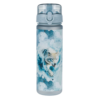 Tritan bottle Polar, 500 ml