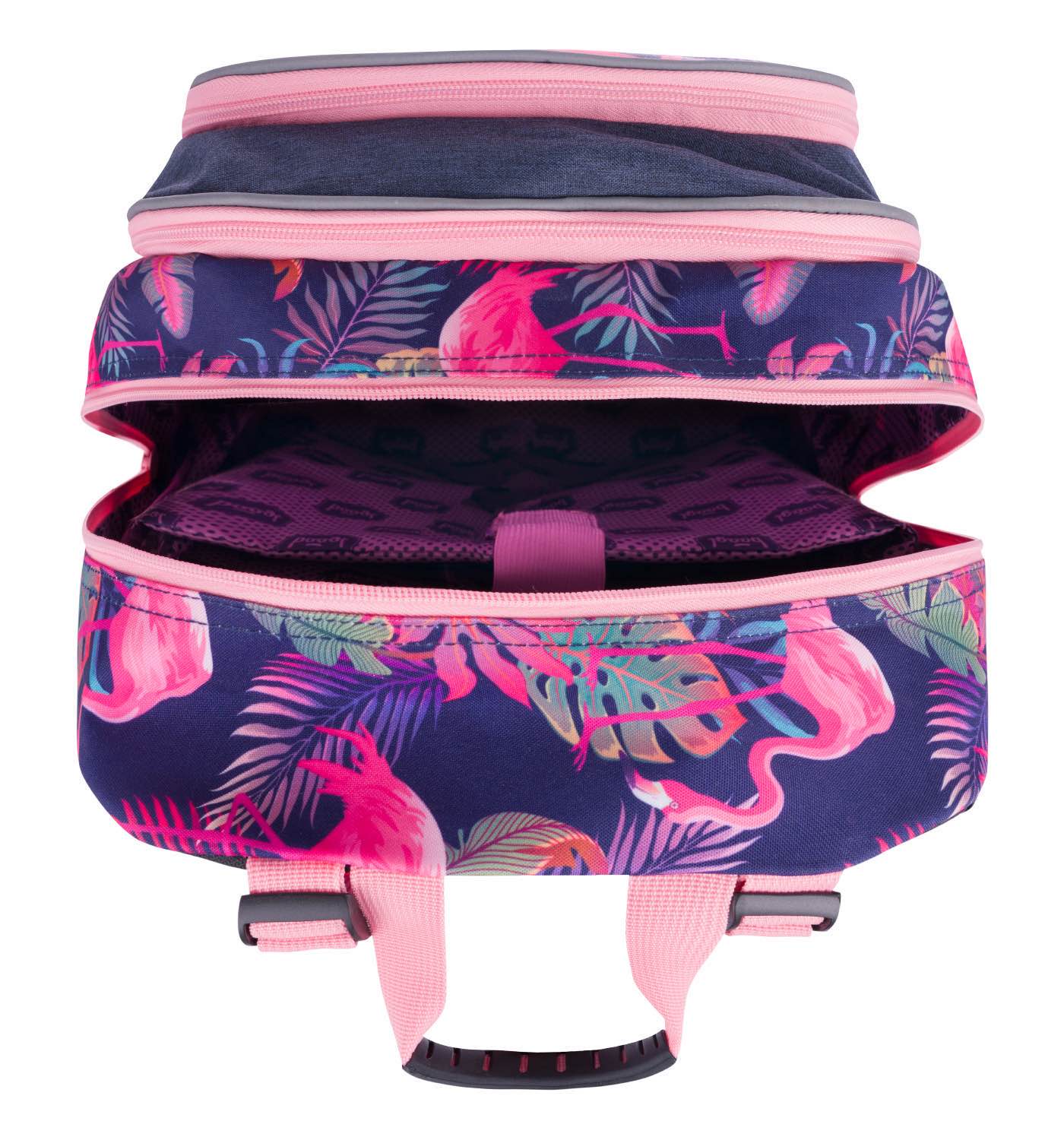 School backpack Core Flamingo