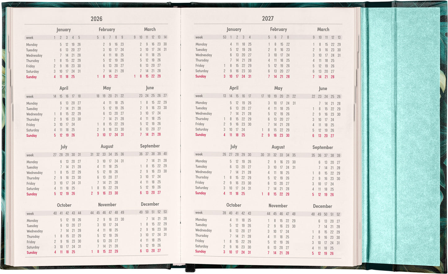 Magnetic weekly planner Monstera 2026, 11 x 16 cm