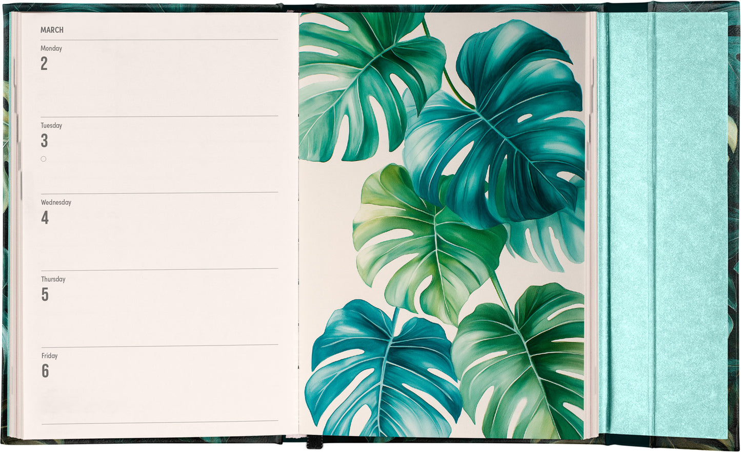 Magnetic weekly planner Monstera 2026, 11 x 16 cm