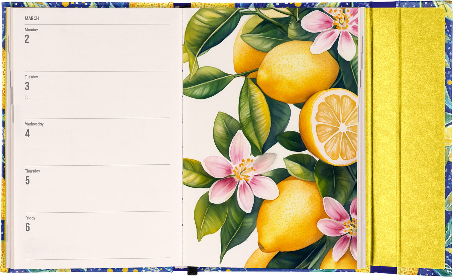 Magnetic weekly planner Lemons 2026, 11 x 16 cm