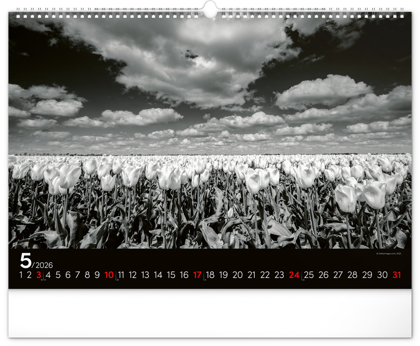 Wall calendar Dreamscapes 2026, 48 x 33 cm