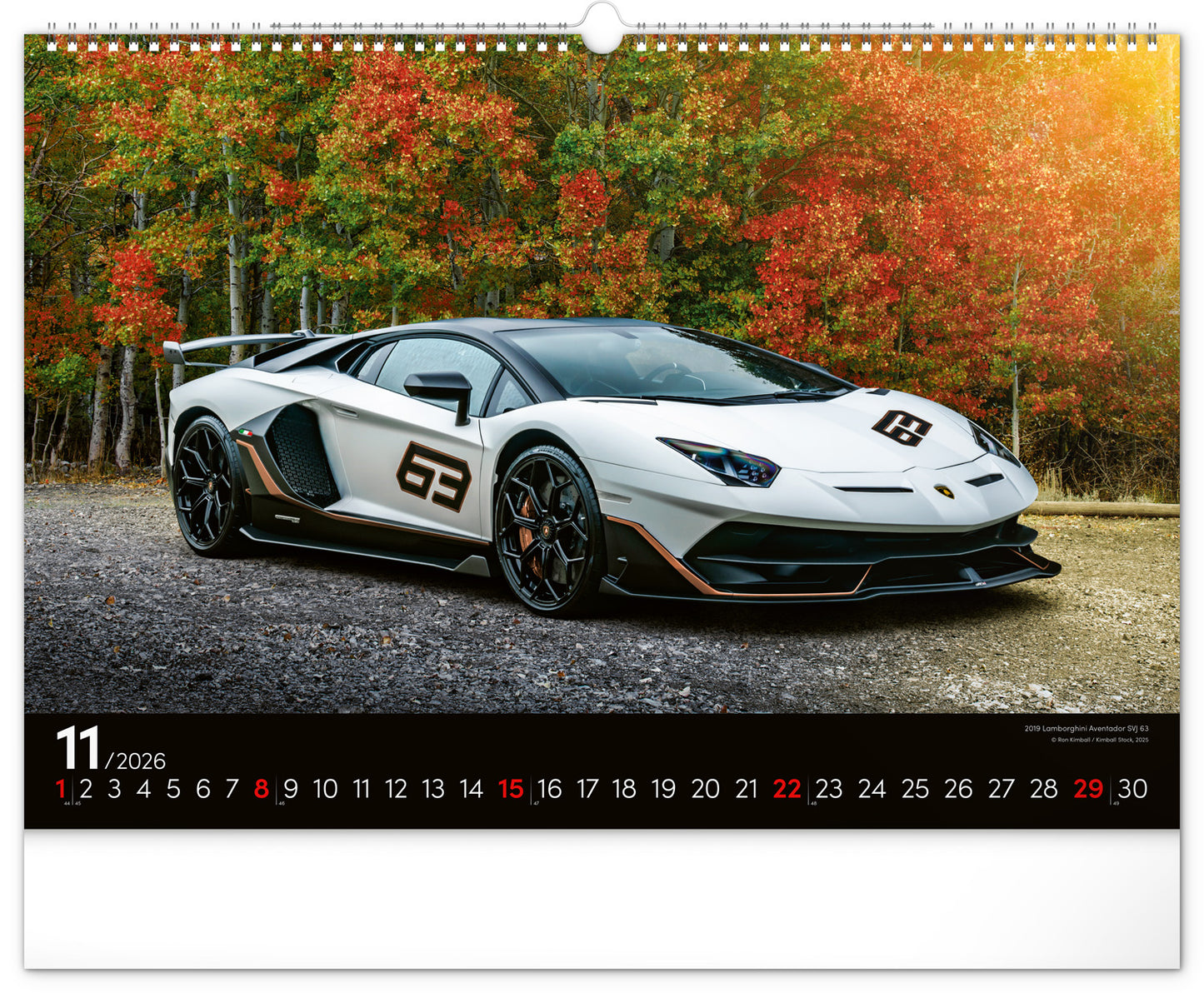 Wall calendar Cars 2026, 48 x 33 cm