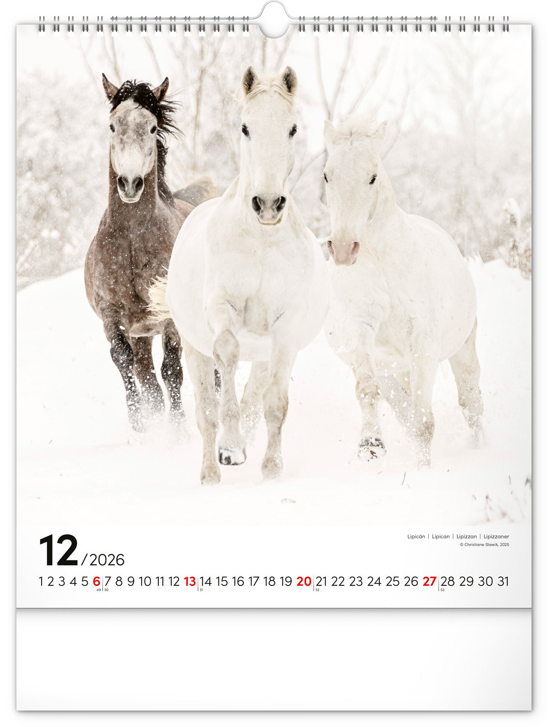 Wall calendar Horses 2026, 30 x 34 cm