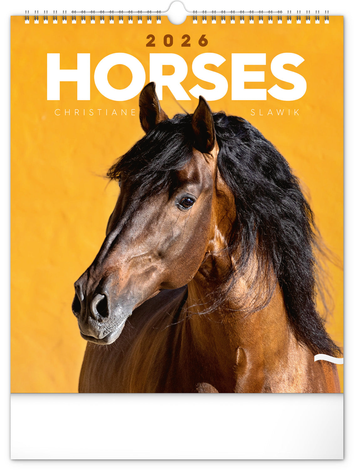 Wall calendar Horses 2026, 30 x 34 cm