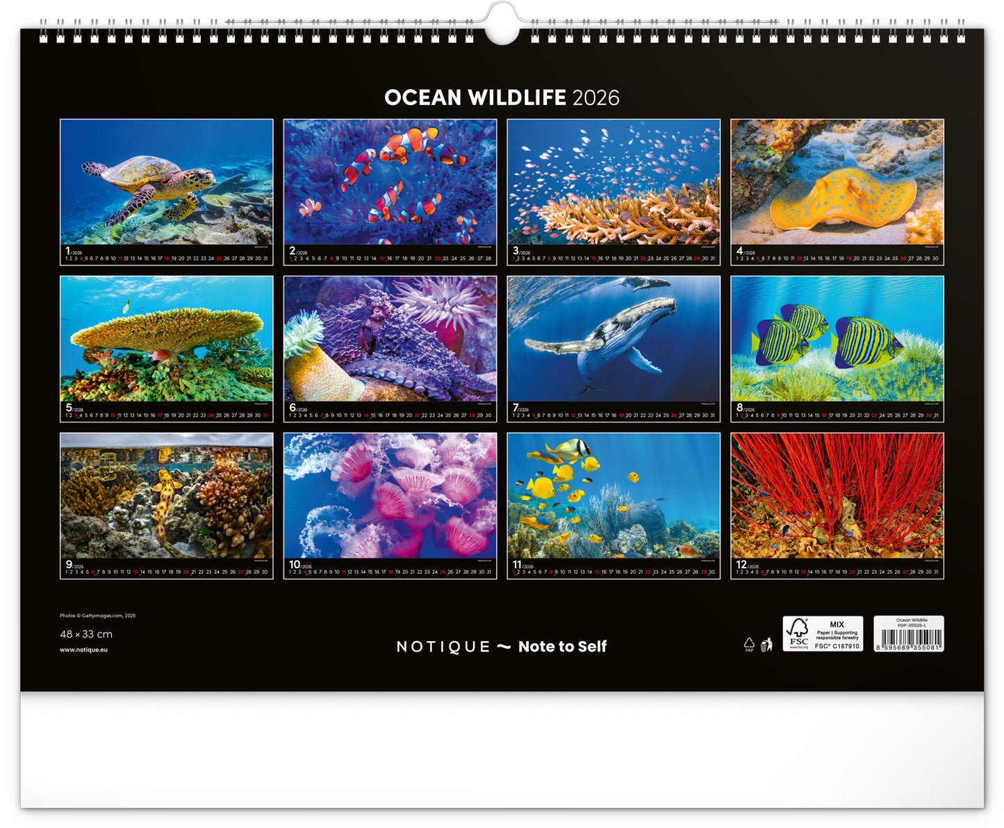 Wall calendar Ocean Wildlife 2026, 48 x 33 cm