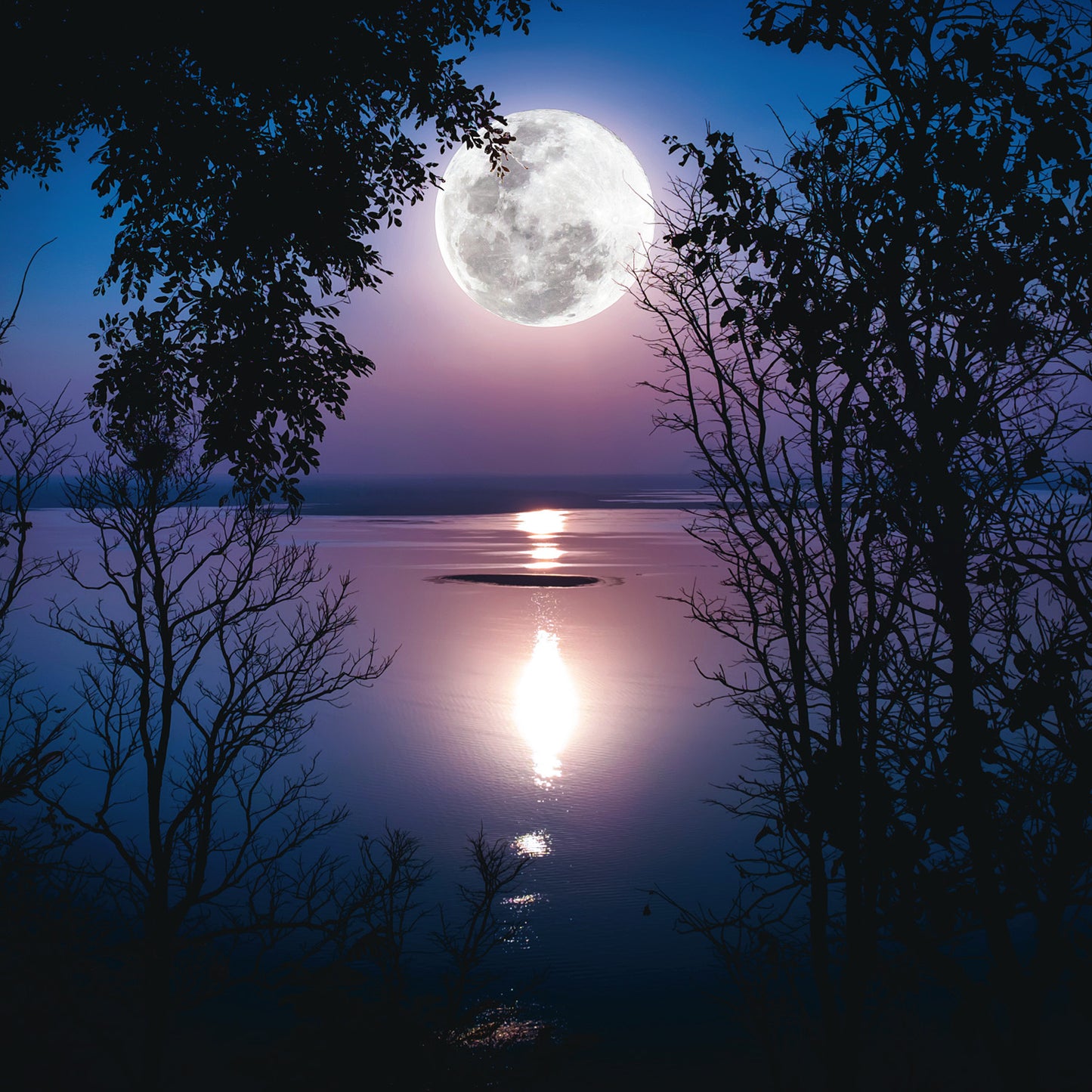 Grid calendar The Moon 2026, 30 x 30 cm