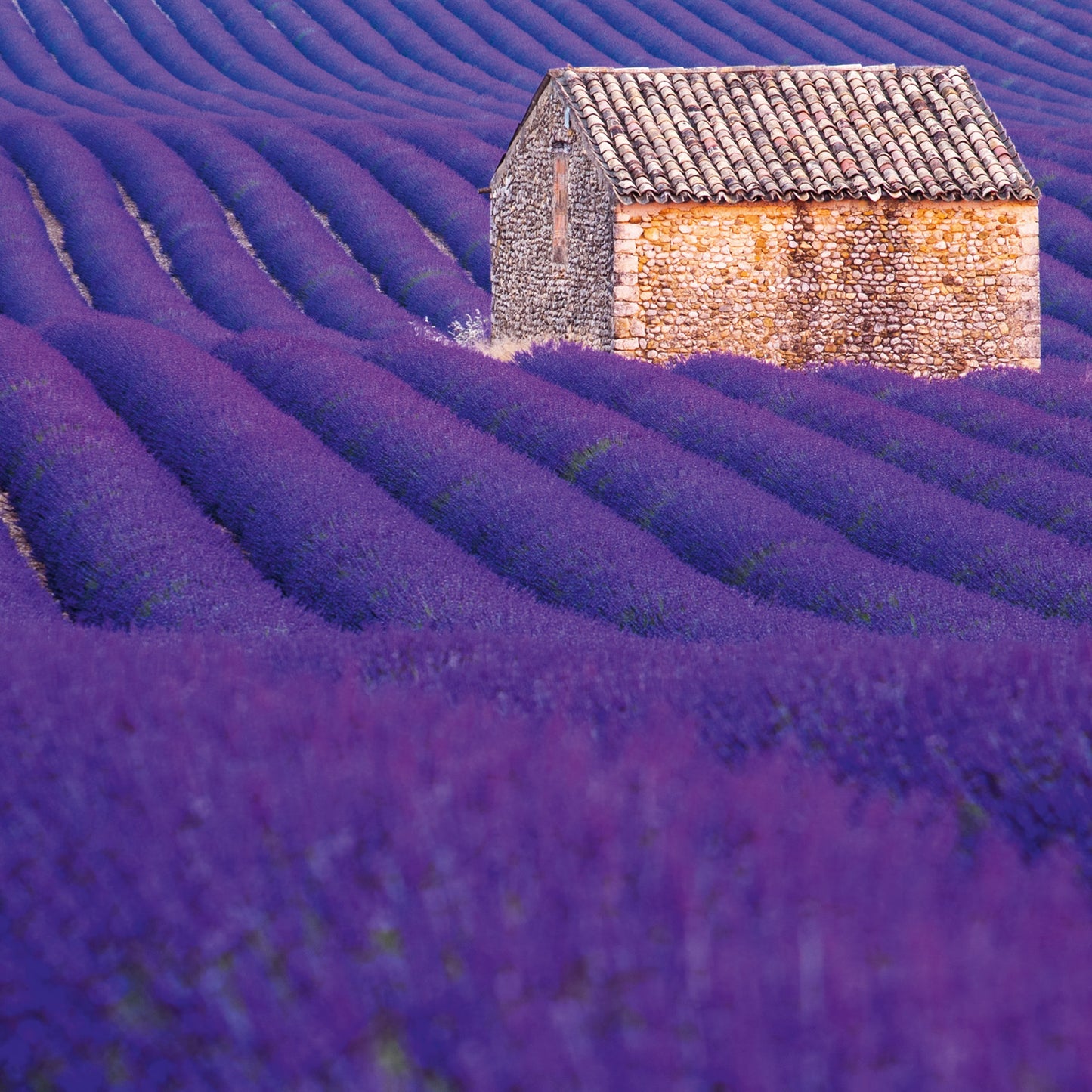 Grid calendar Provence 2026, 30 x 30 cm