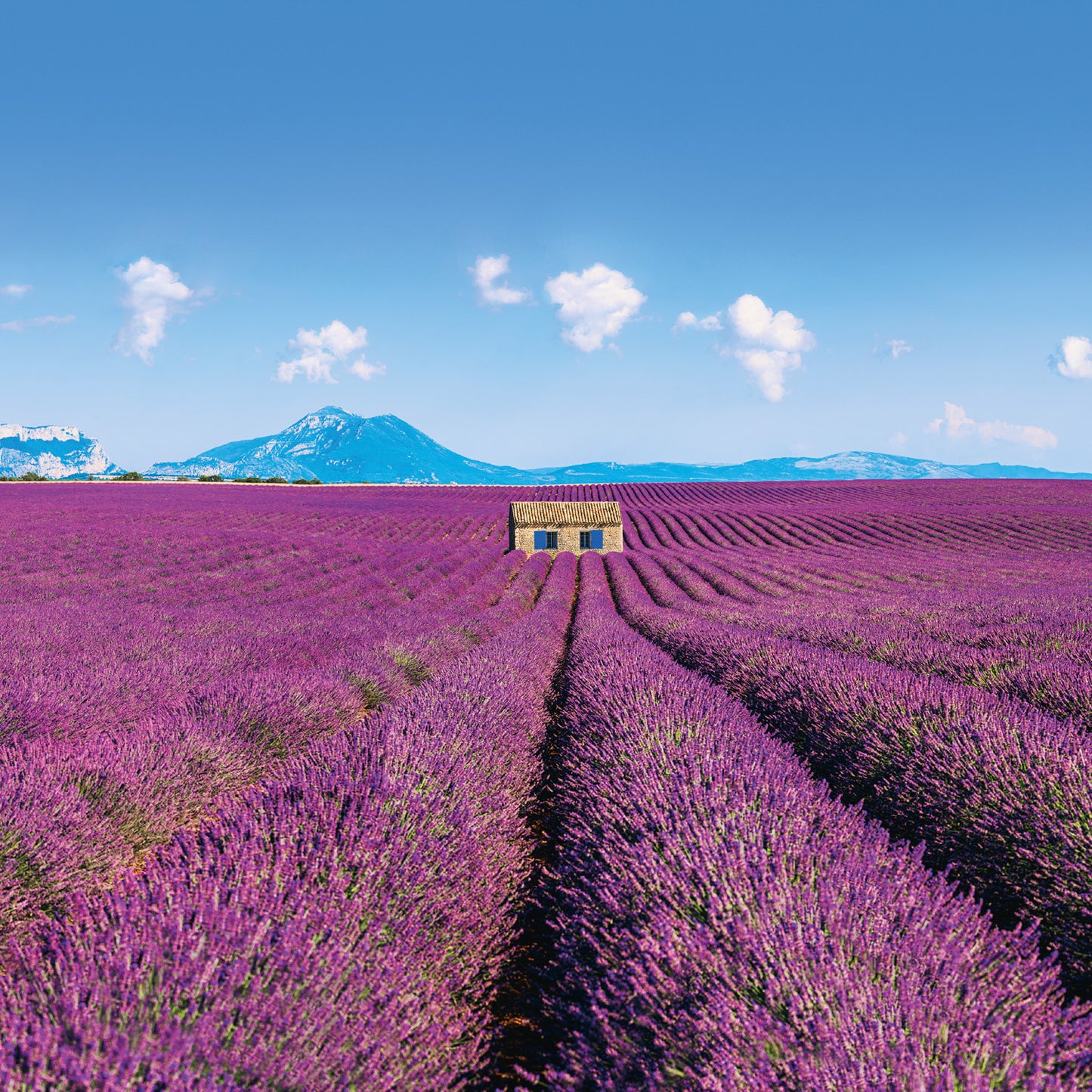 Grid calendar Provence 2026, 30 x 30 cm