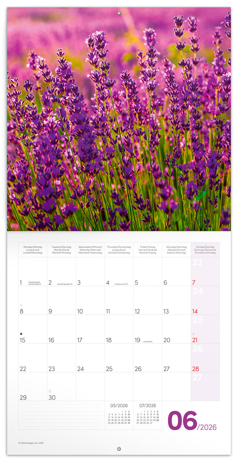 Grid calendar Provence 2026, 30 x 30 cm