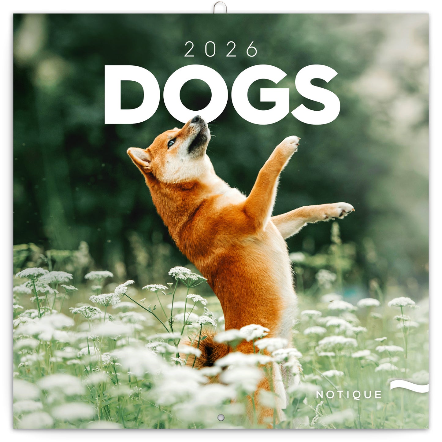 Grid calendar Dogs 2026, 30 x 30 cm