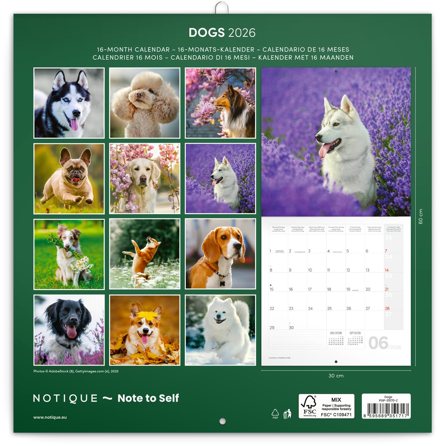 Grid calendar Dogs 2026, 30 x 30 cm