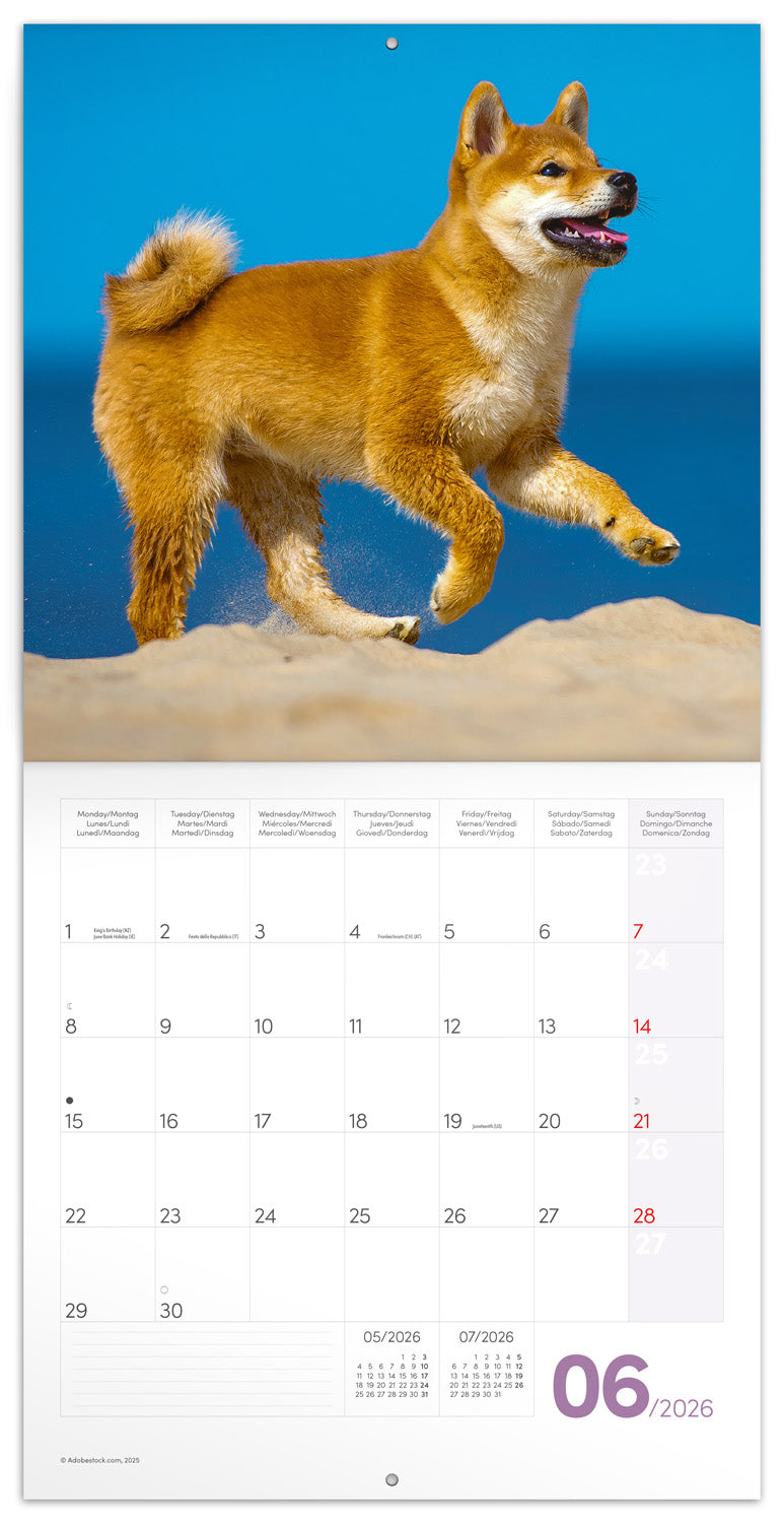 Grid calendar Puppies 2026, 30 x 30 cm