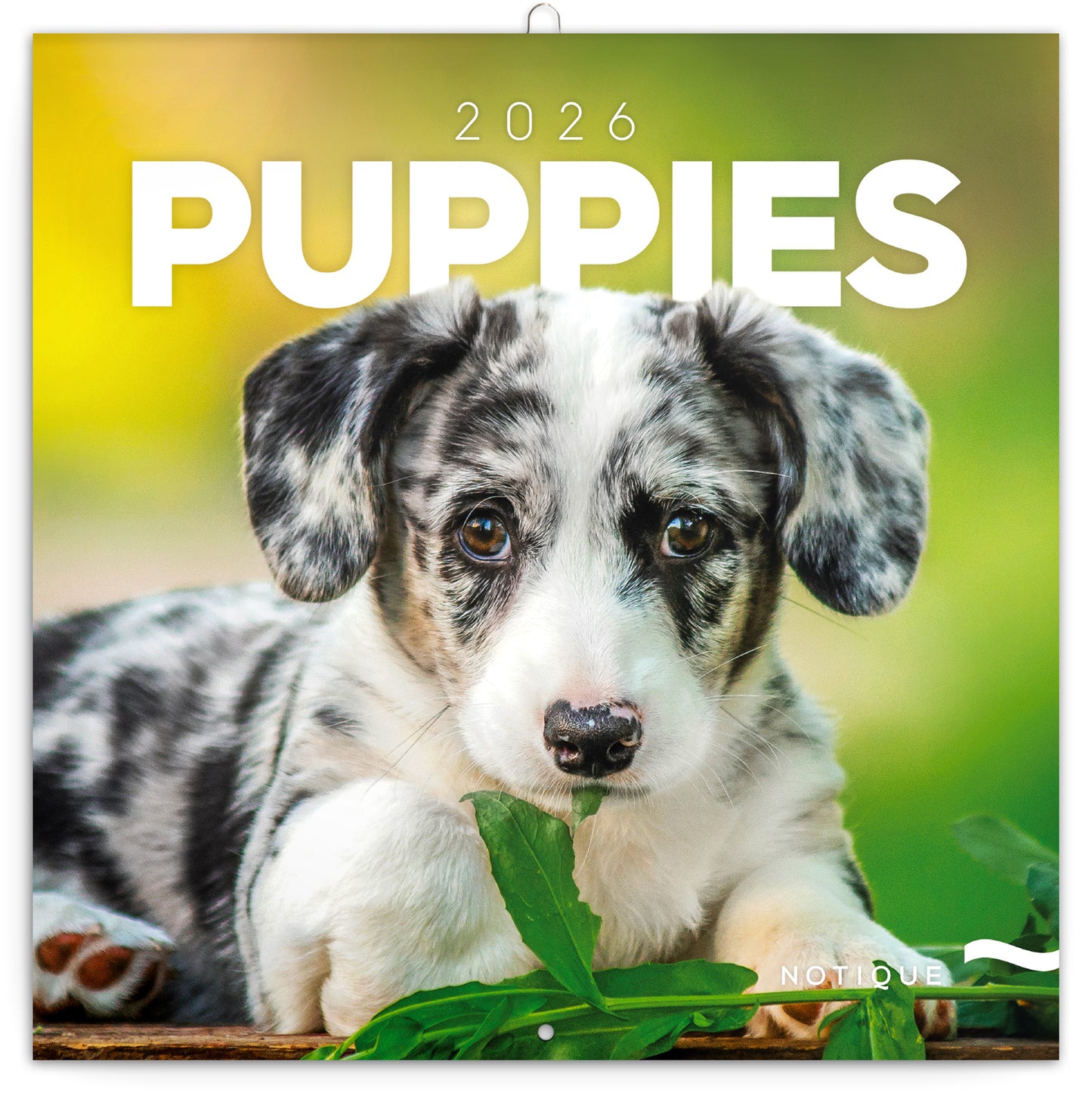 Grid calendar Puppies 2026, 30 x 30 cm