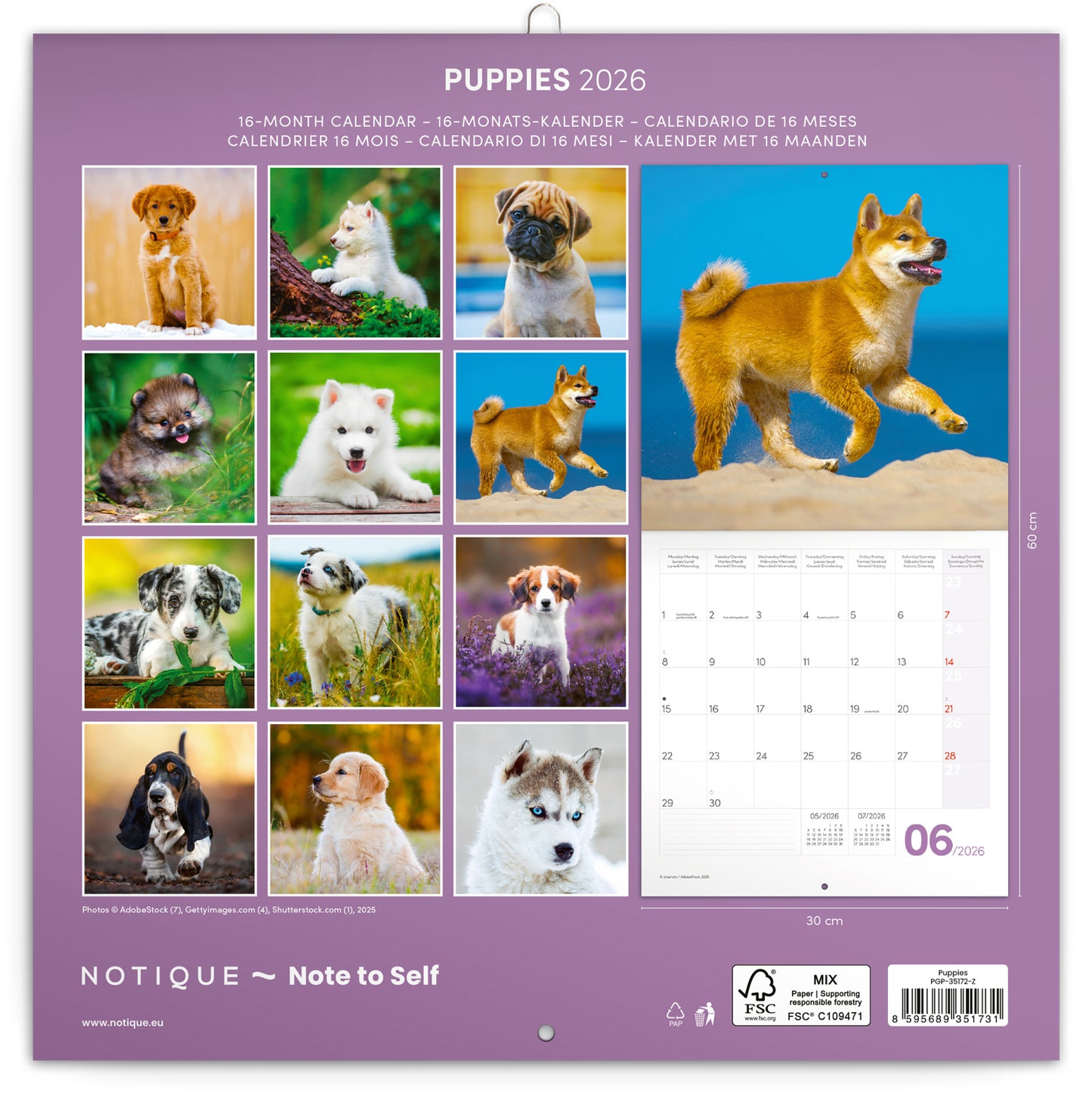 Grid calendar Puppies 2026, 30 x 30 cm