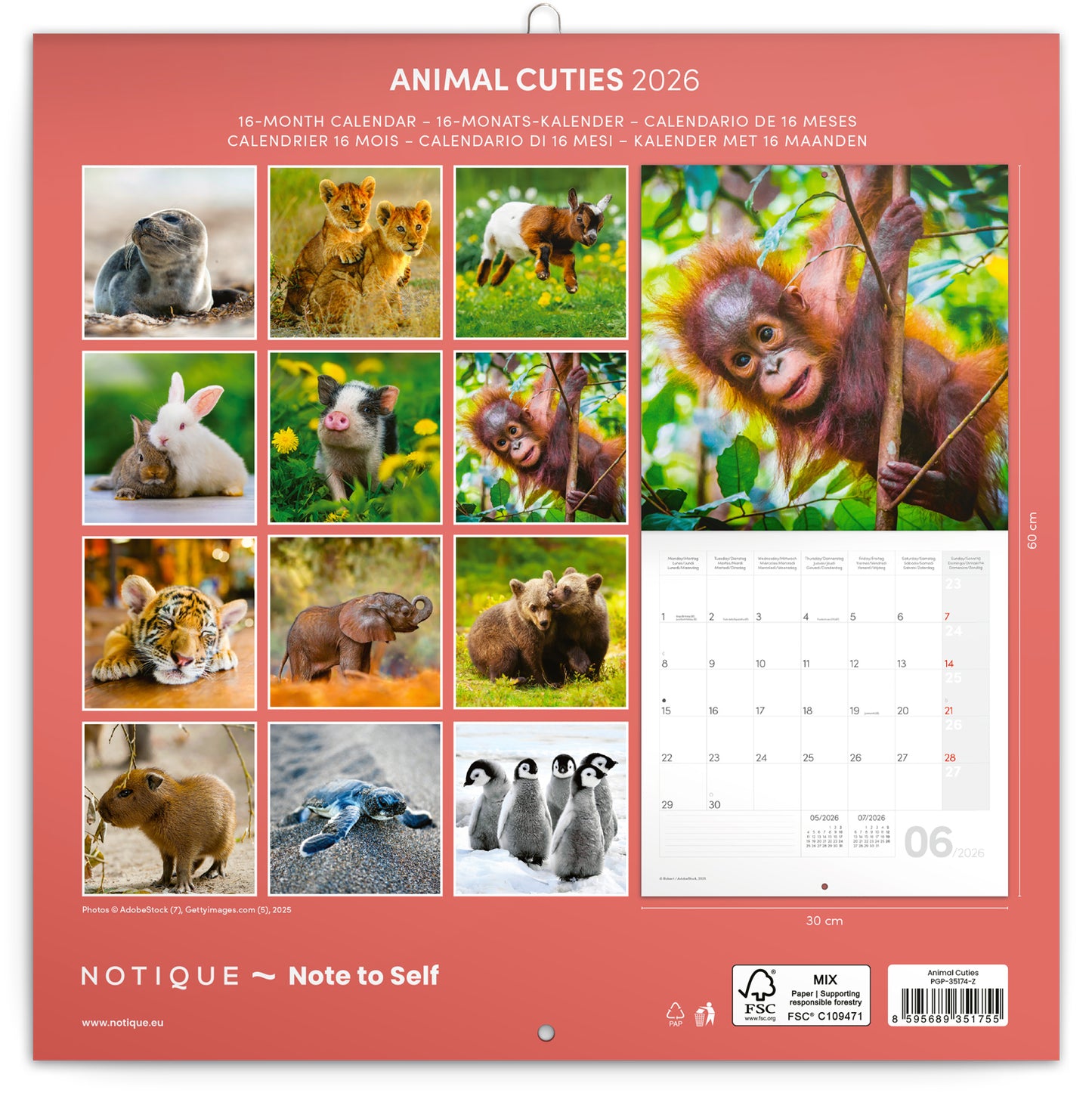 Grid calendar Animal Cuties 2026, 30 x 30 cm