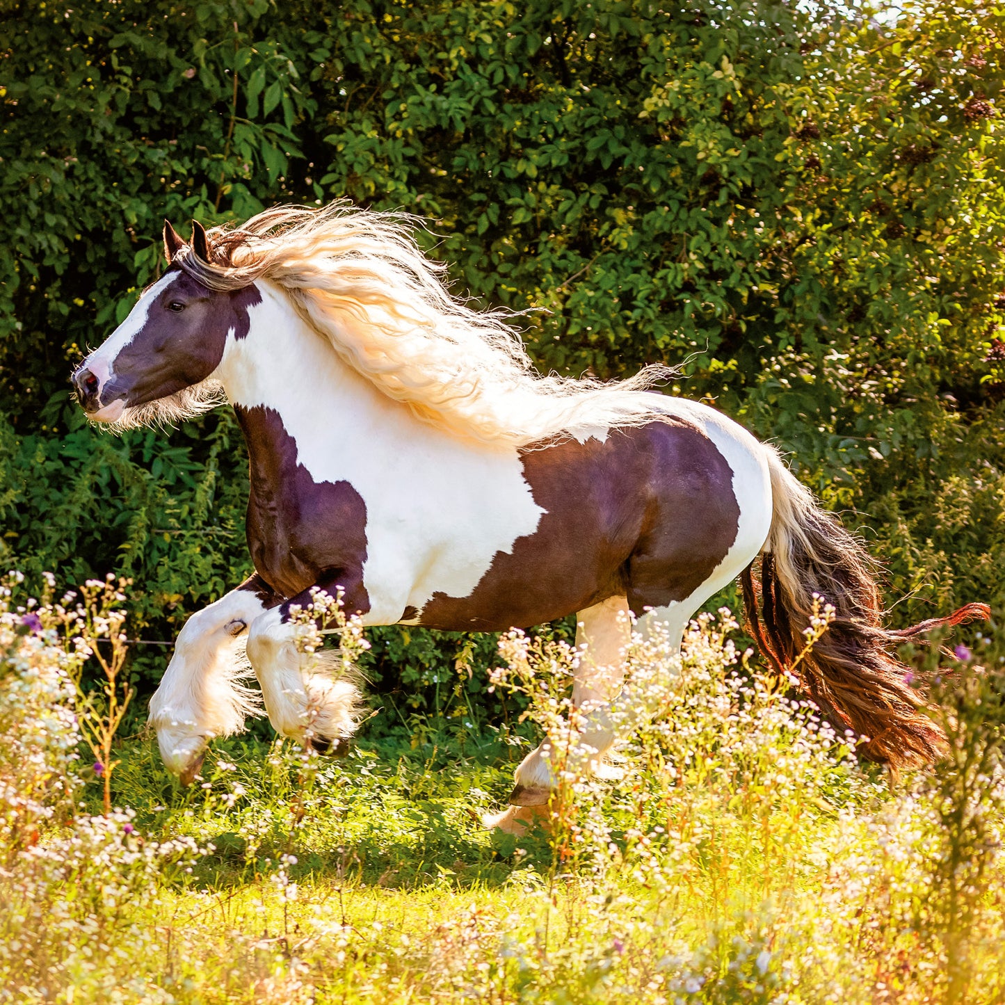 Grid calendar Horses – Christiane Slawik 2026, 30 x 30 cm