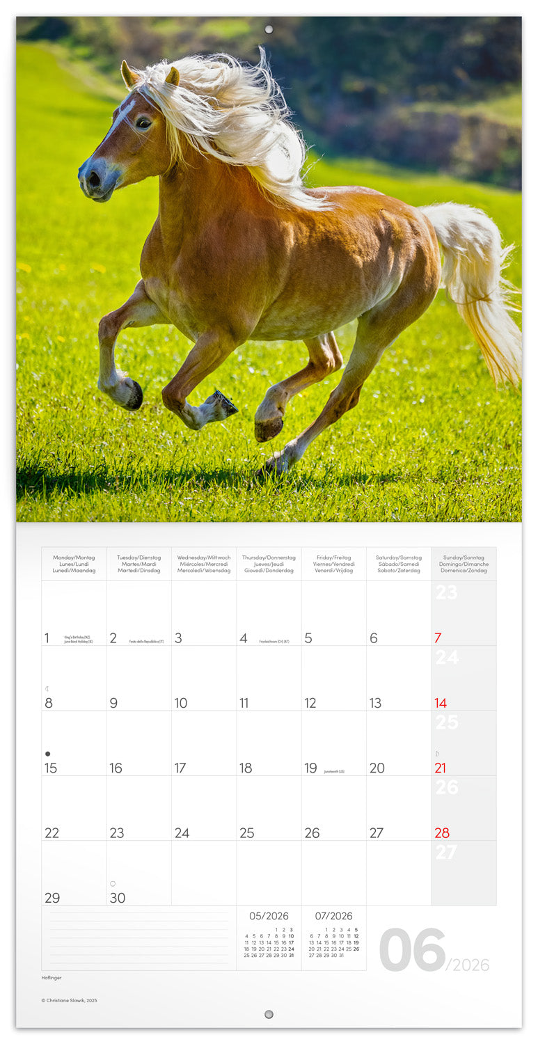 Grid calendar Horses – Christiane Slawik 2026, 30 x 30 cm