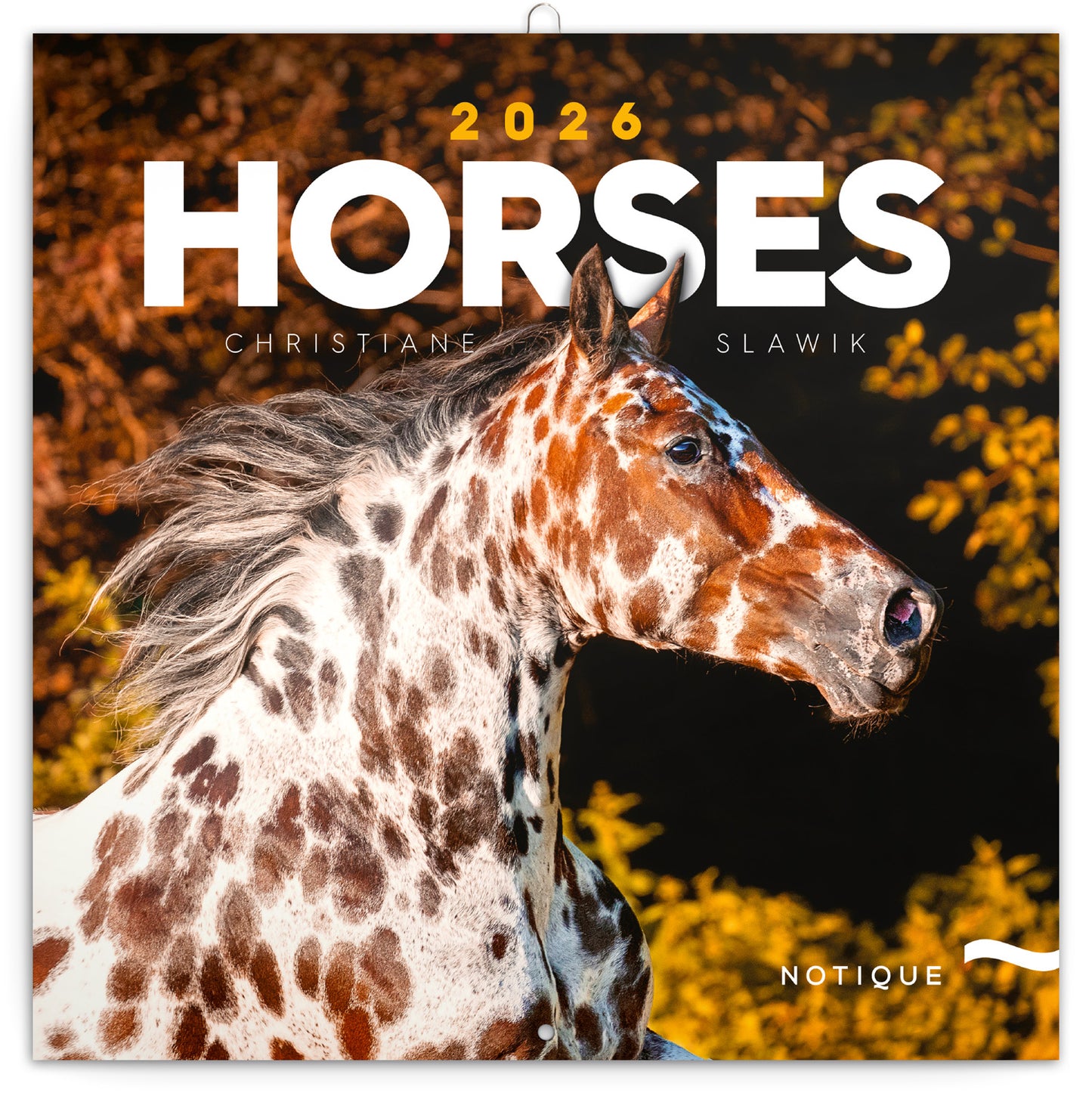 Grid calendar Horses – Christiane Slawik 2026, 30 x 30 cm