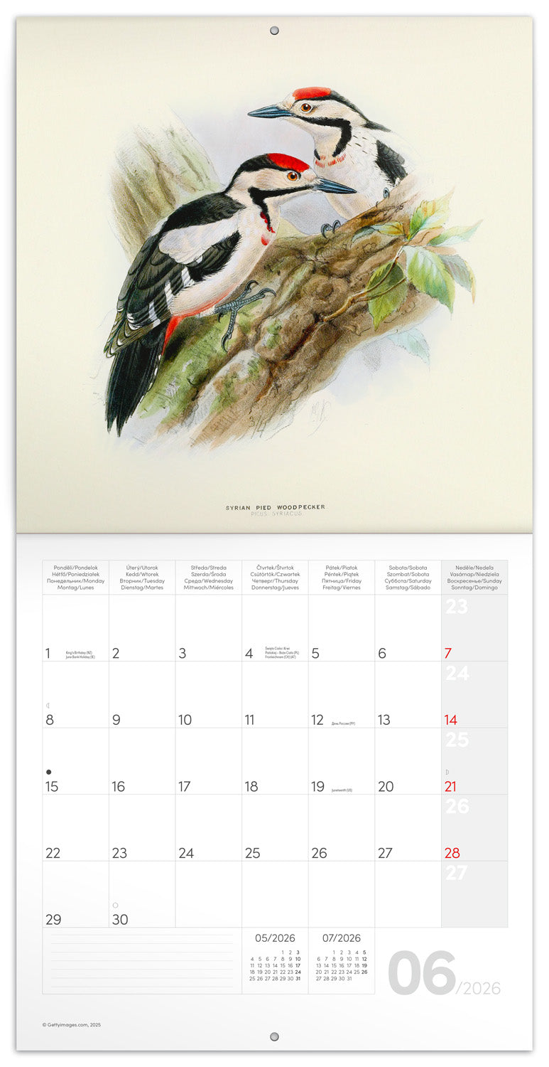 Grid calendar Birds in Art 2026, 30 x 30 cm