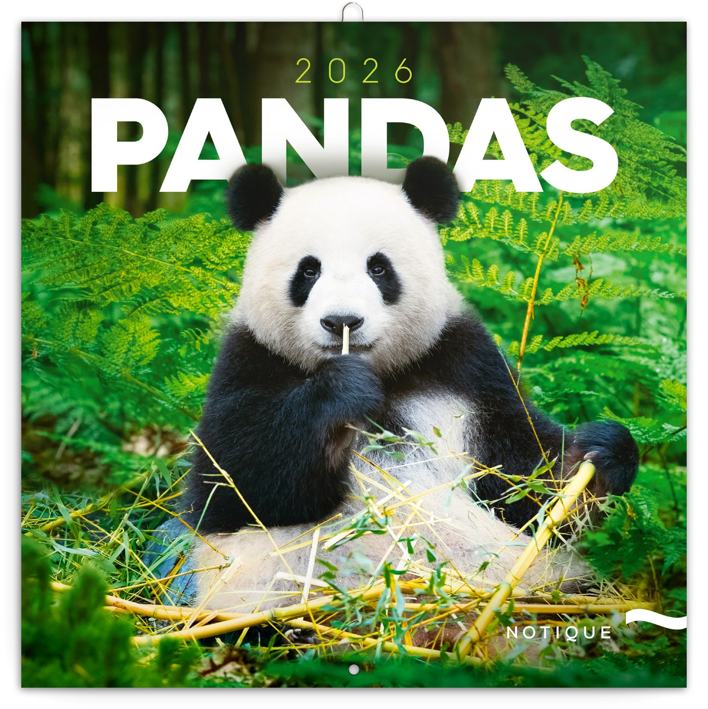 Grid calendar Pandas 2026, 30 x 30 cm