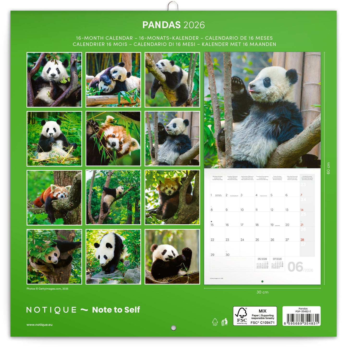 Grid calendar Pandas 2026, 30 x 30 cm