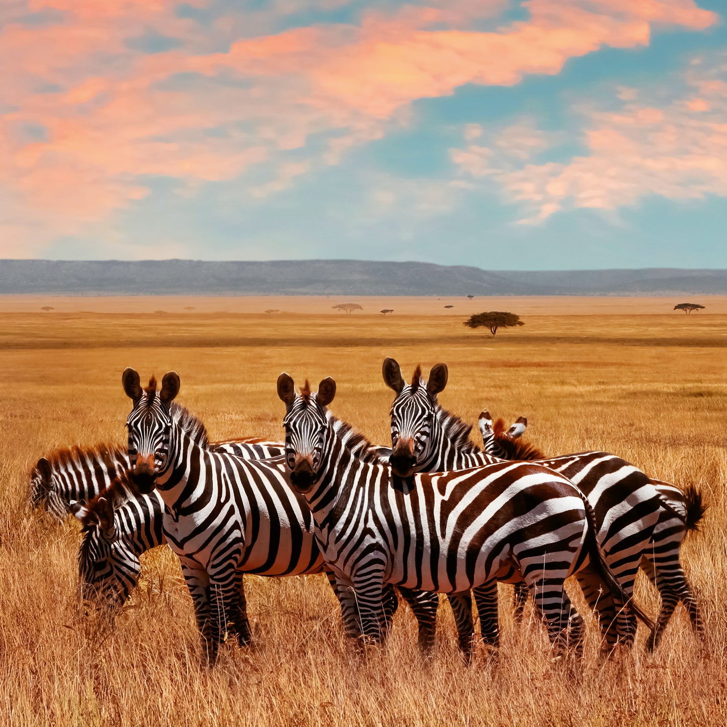 Grid calendar Wild Animals 2026, 30 x 30 cm