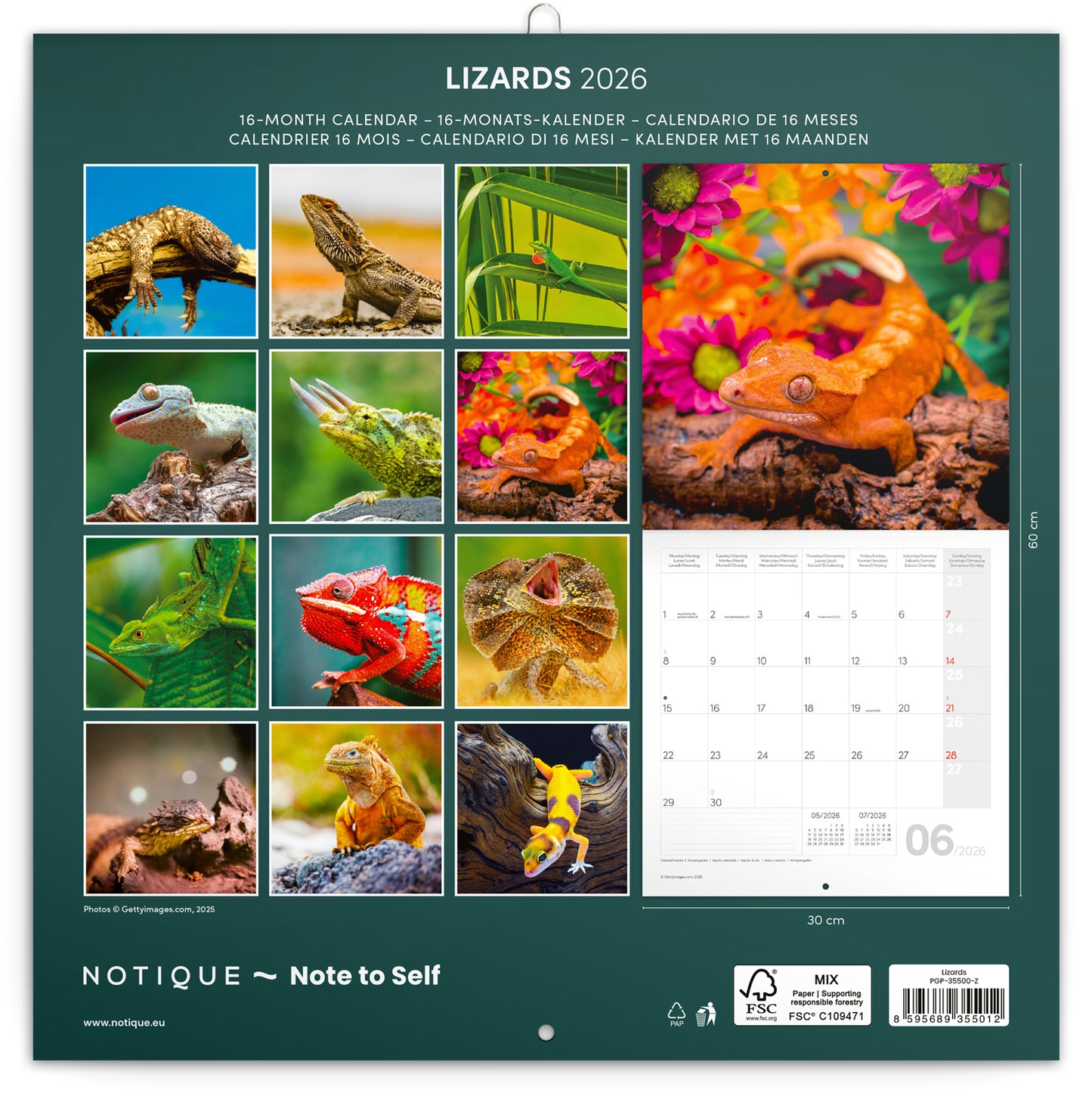 Grid calendar Lizards 2026, 30 x 30 cm