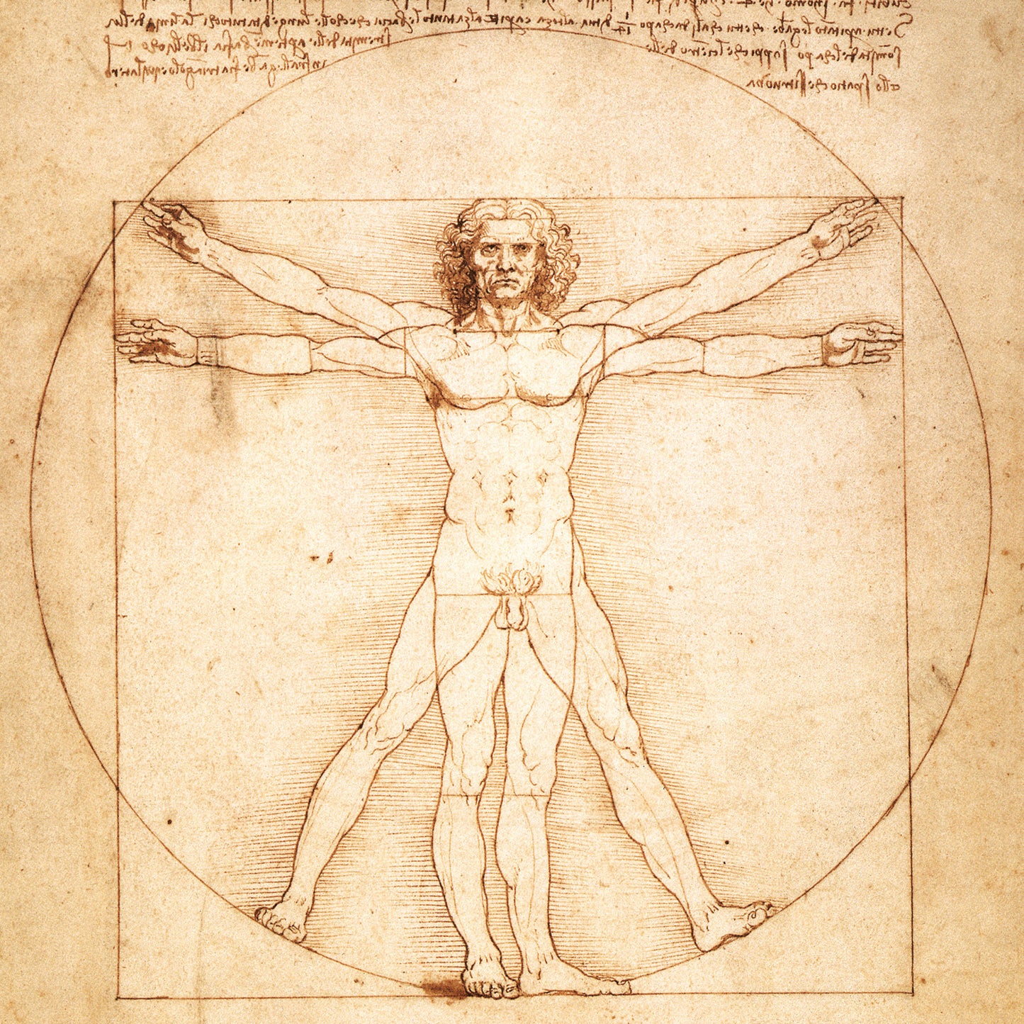 Grid calendar Leonardo da Vinci 2026, 30 x 30 cm