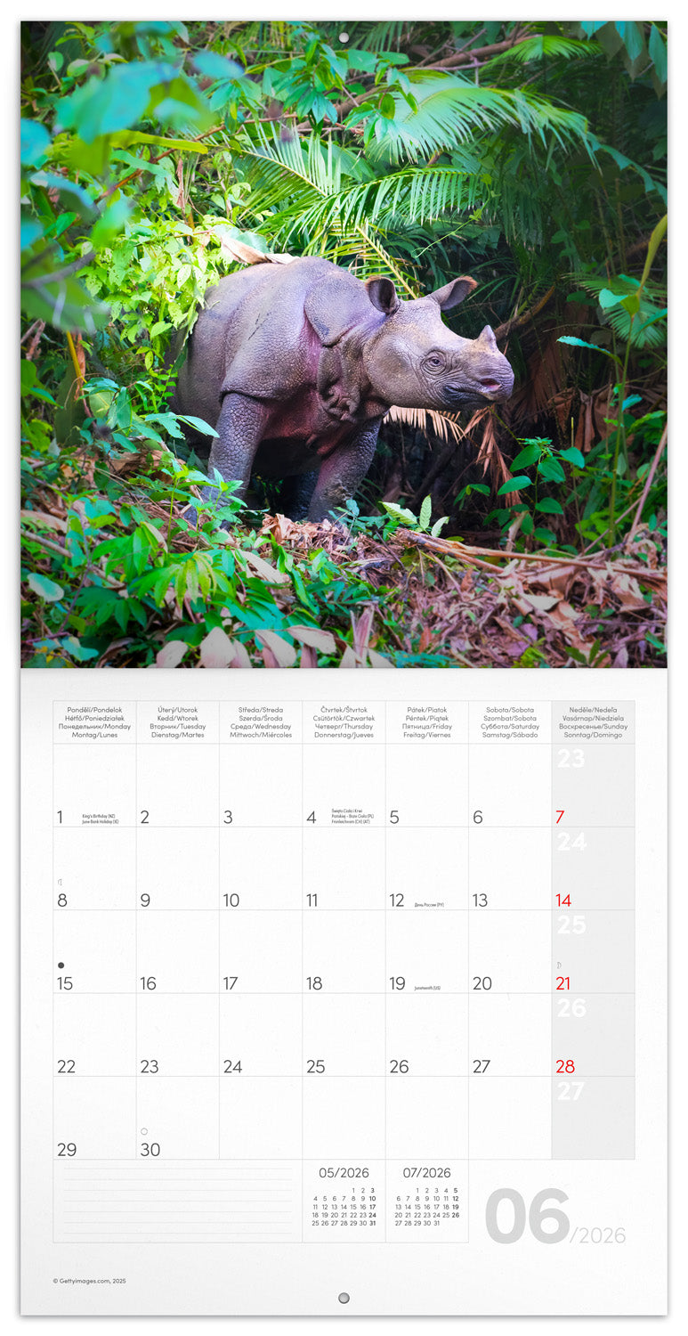 Grid calendar Endangered Animals 2026, 30 x 30 cm