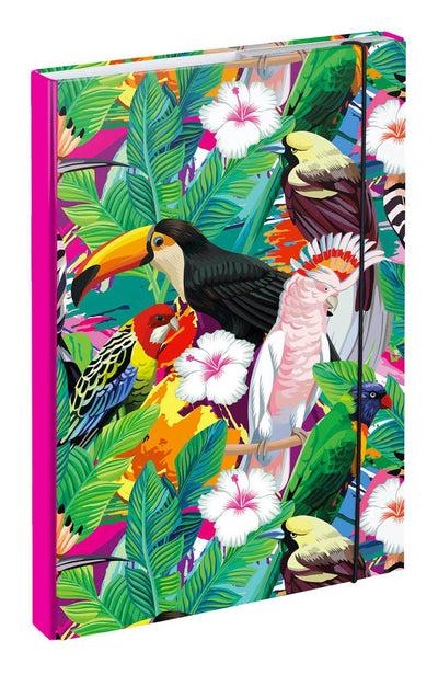 School file folder A4 Toucan