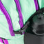 School set Skate Mint