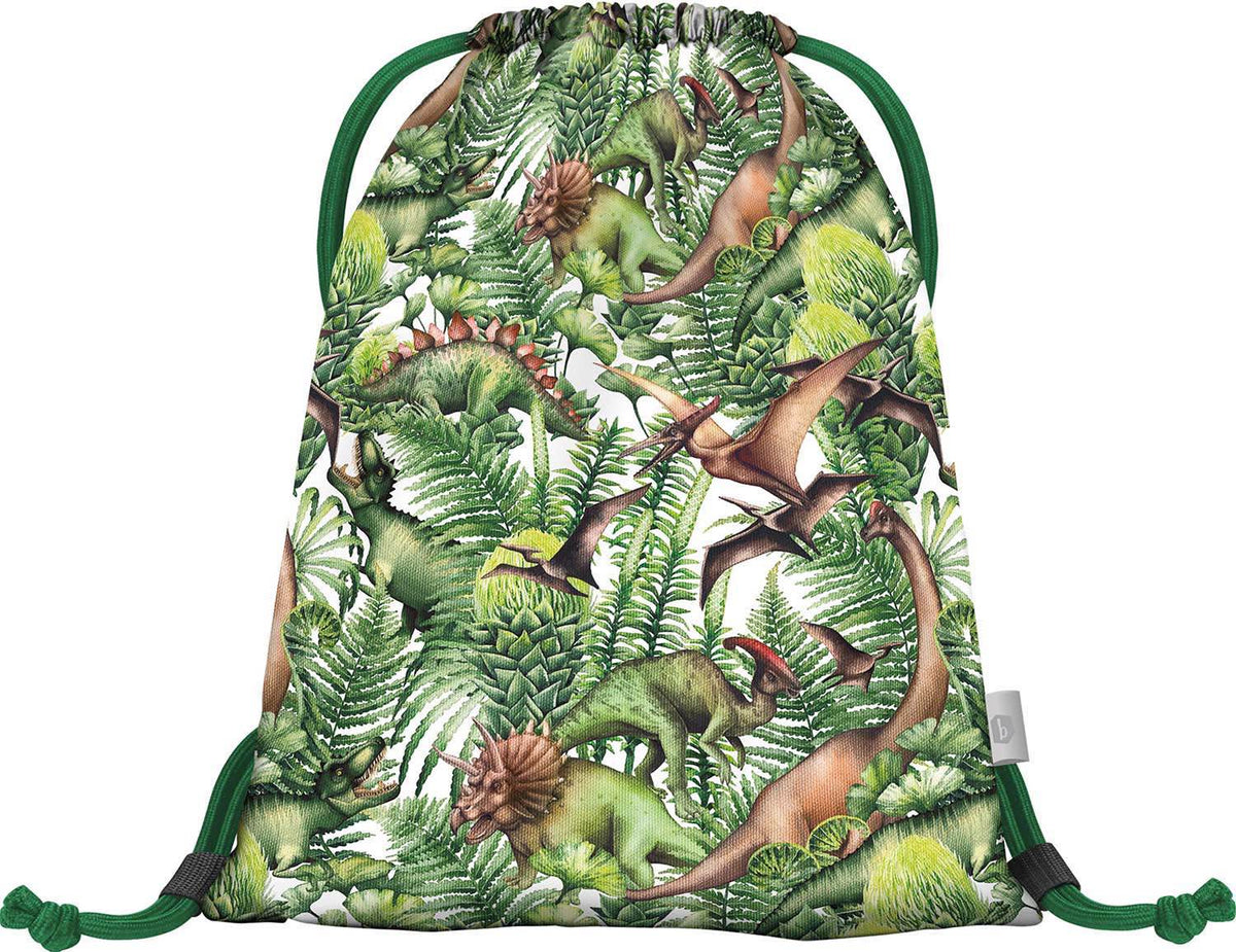 School set Shelly Dinosaurs