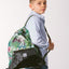 School set Shelly Dinosaurs II