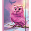 School set Zippy Owl II