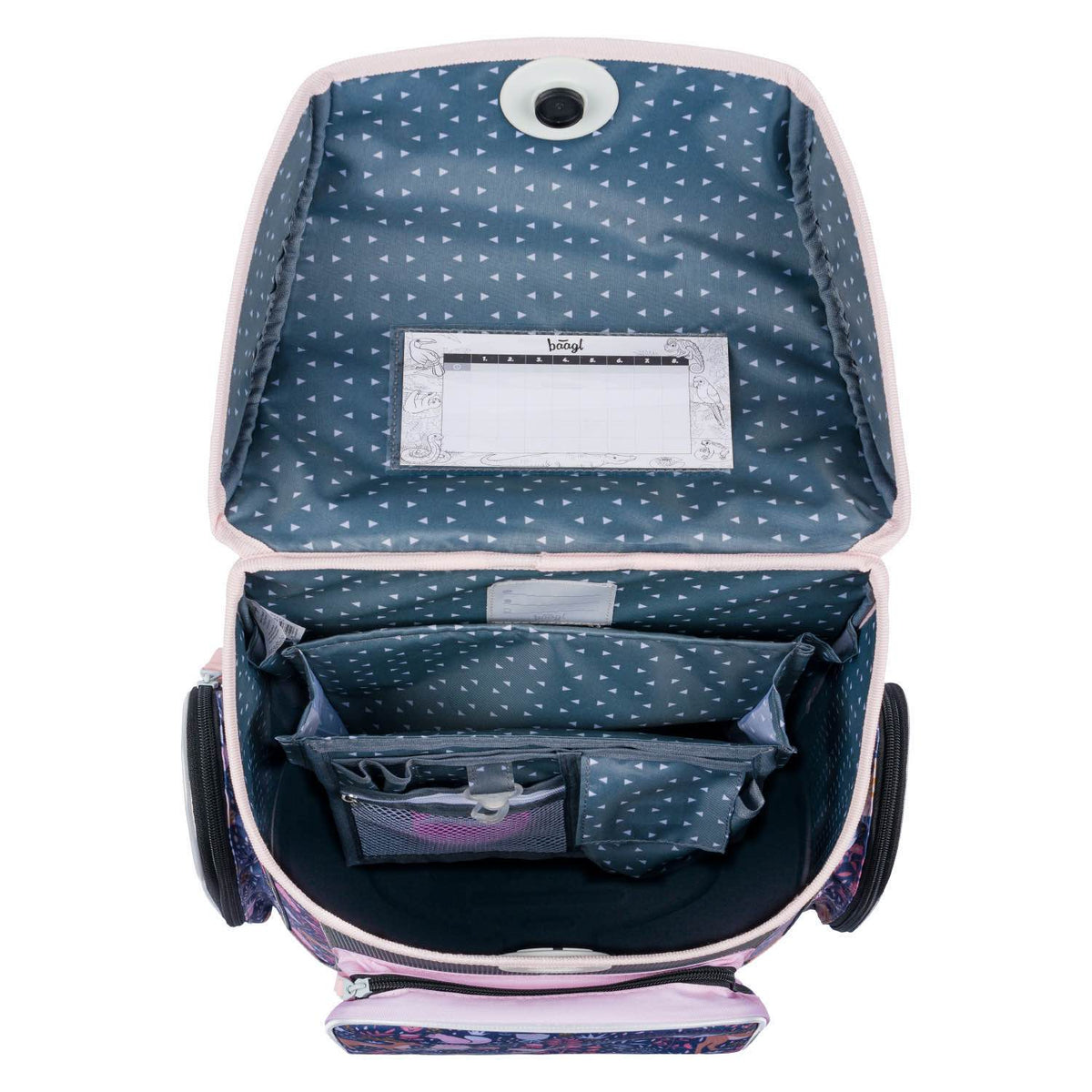 School set Ergo Squirell