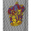 School file folder A4 Harry Potter Gryffindor Logo