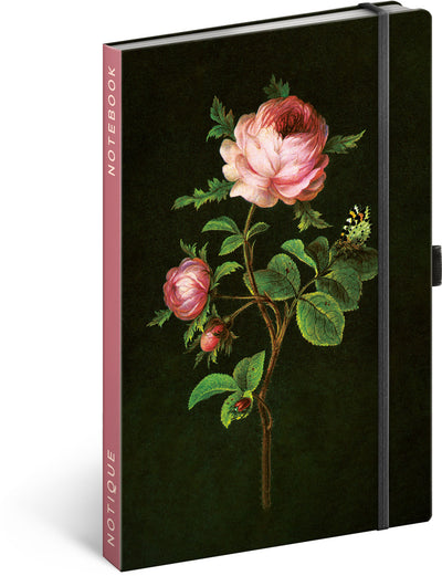 Notebook Herbs by Kateřina Winterová, lined, 13 × 21 cm