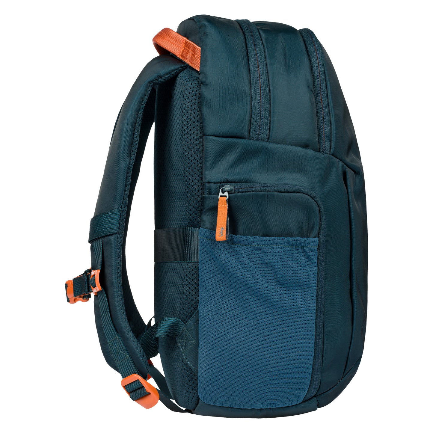 School backpack Eggy Petrol