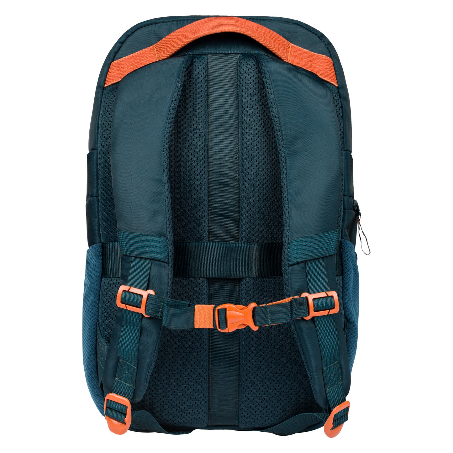 School backpack Eggy Petrol