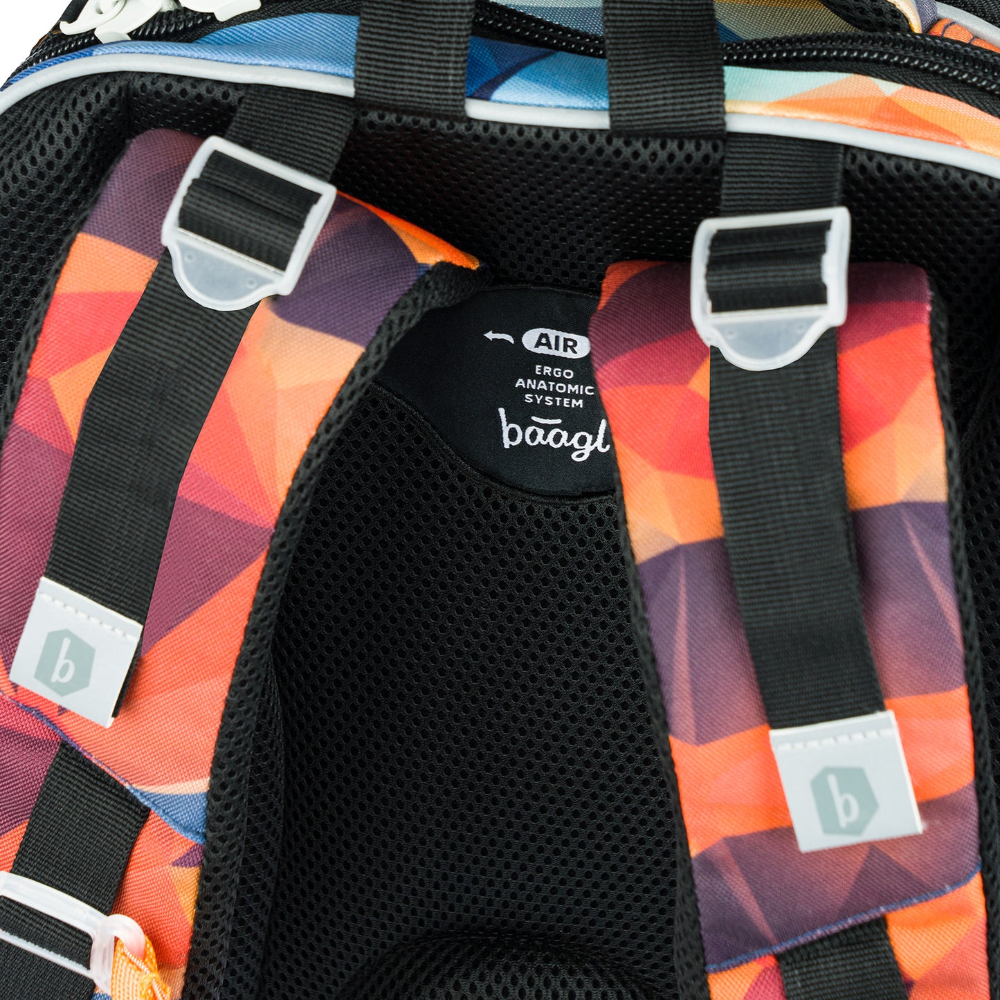 School set Shelly Wild Tiger