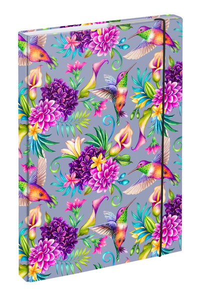 School file folder A4 Hummingbird