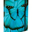 School file folder A4 Butterfly