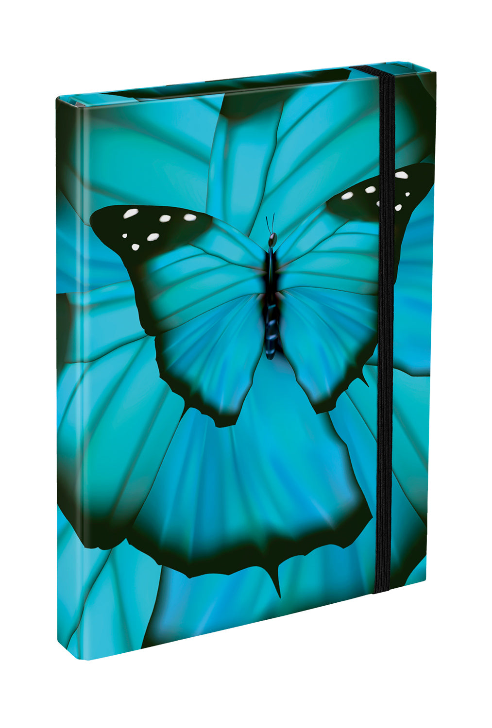 School file folder A4 Butterfly